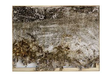 ROBERTO GHEZZI IMPERMANENTE