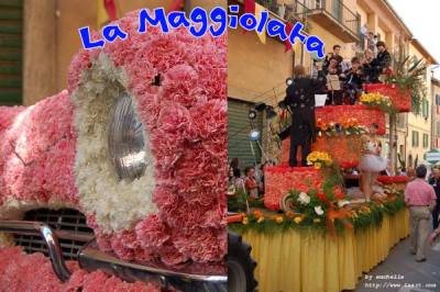 La Maggiolata